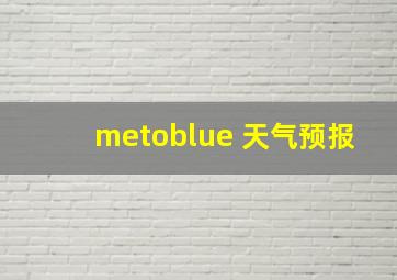 metoblue 天气预报